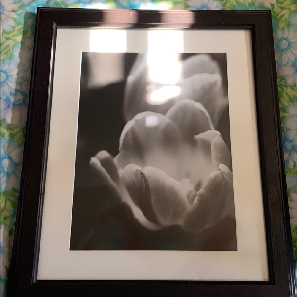 2 Picture frames - Picture 2 of 2